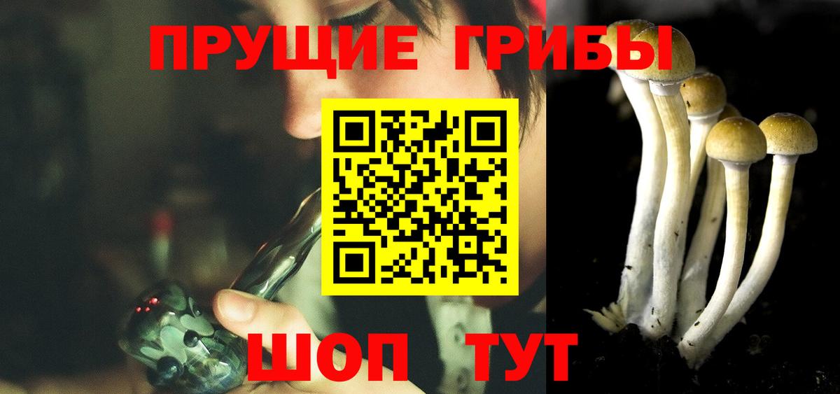 Псилоцибиновые грибы мицелий  Вход с VPN  Псилоцибиновые грибы Magic Shrooms  Кингисепп 