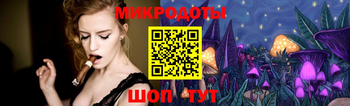 Галлюциногенные грибы Psilocybine cubensis Кингисепп